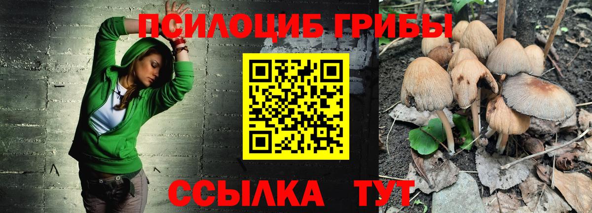 Калач-на-Дону  Псилоцибиновые грибы Magic Shrooms  Вход с VPN 